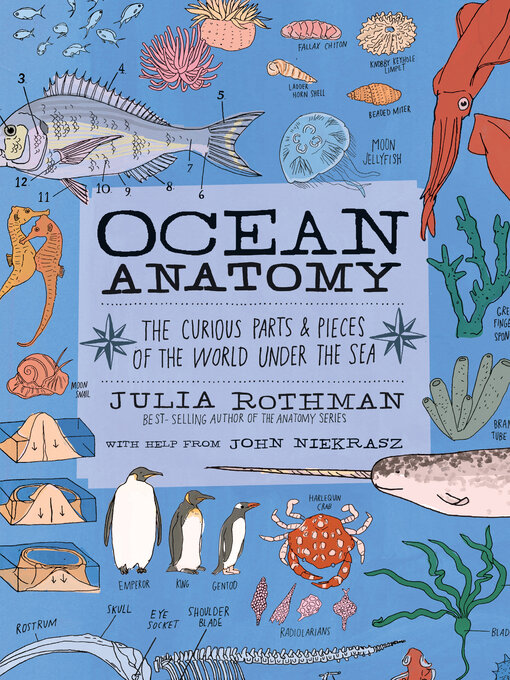 Title details for Ocean Anatomy by Julia Rothman - Available